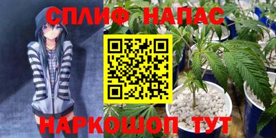 шишки Заводоуковск