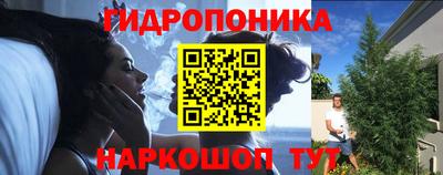 шишки Заводоуковск