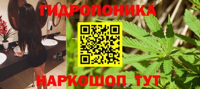 стаф Жуковский