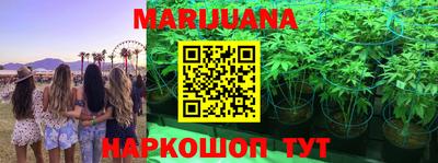 шишки Заводоуковск