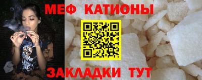 шишки Заводоуковск