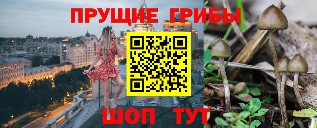 Галлюциногенные грибы Psilocybe  сколько стоит  Муравленко  Вход с VPN  Псилоцибиновые грибы Psilocybe 